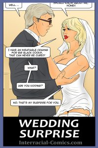 White Bride's Wedding Surprise Interracial Comics cover 